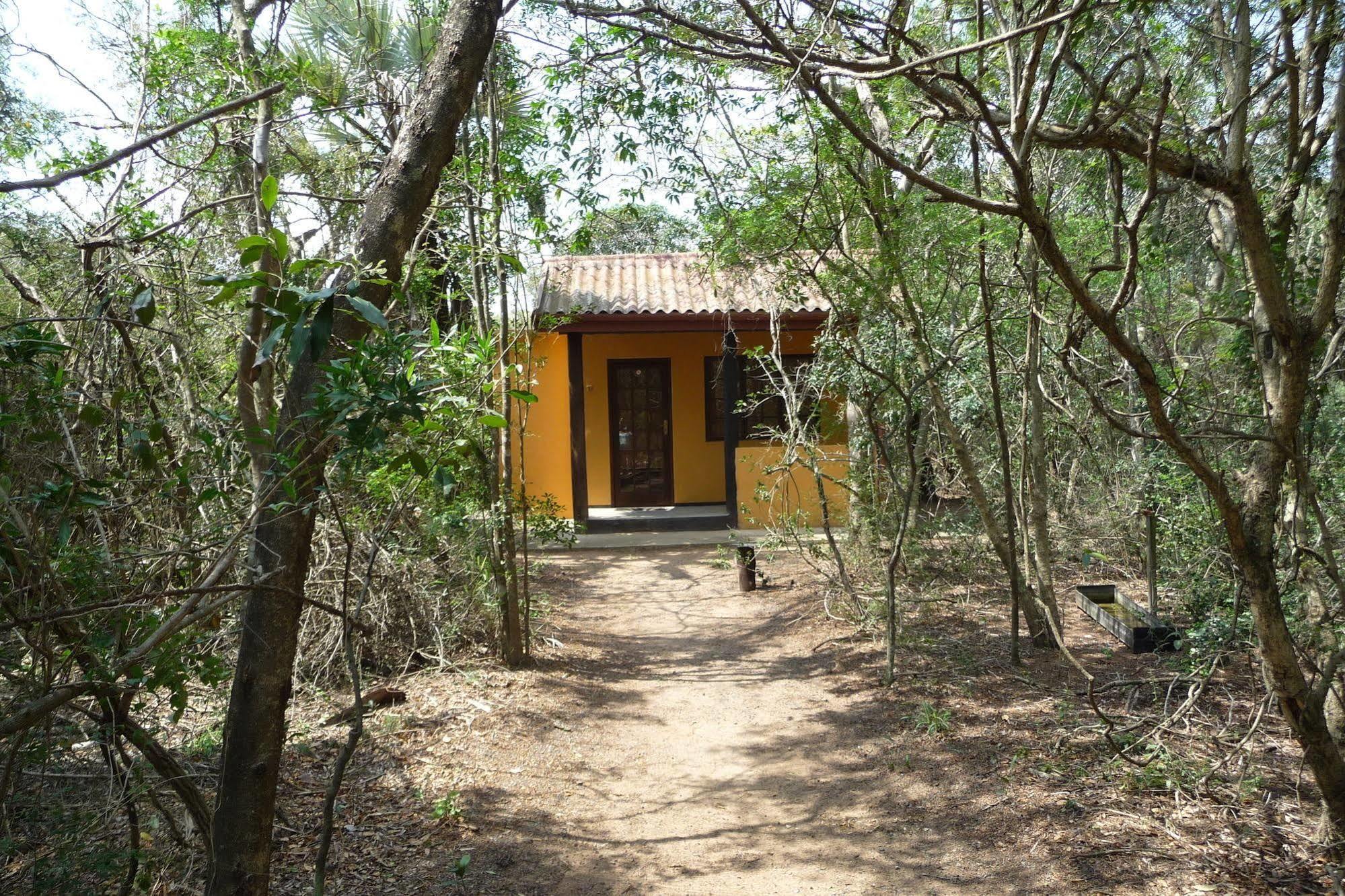 Hotel Isinkwe Backpackers Bushcamp Hluhluwe Esterno foto