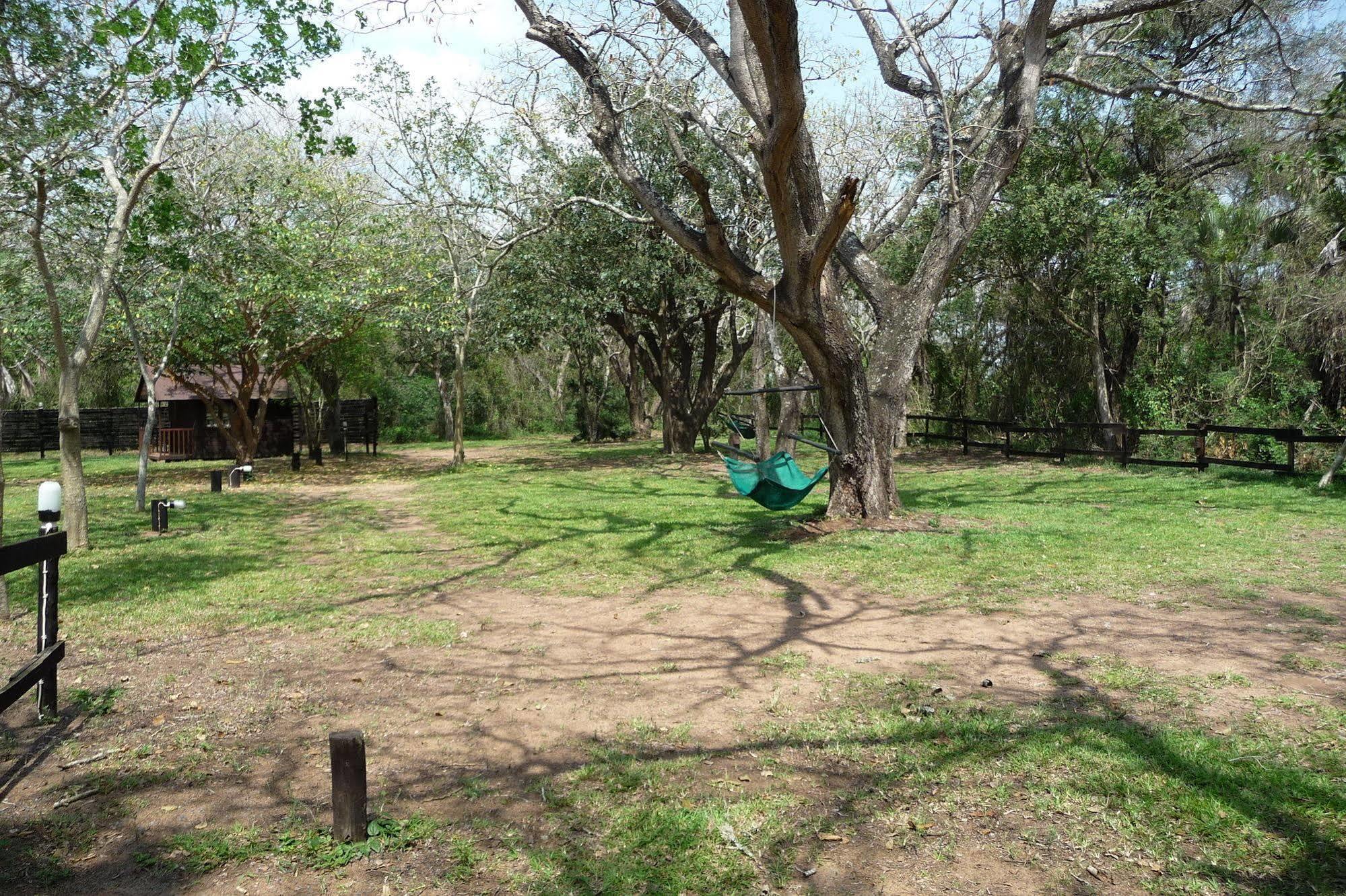 Hotel Isinkwe Backpackers Bushcamp Hluhluwe Esterno foto