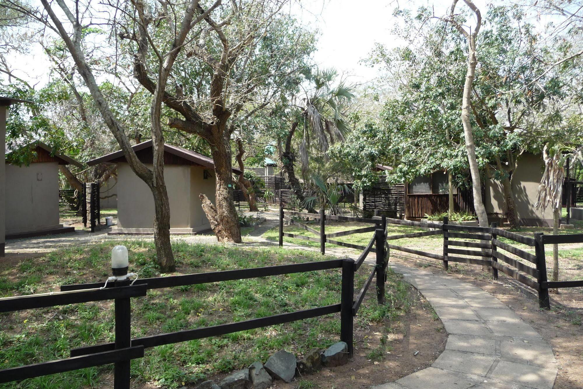 Hotel Isinkwe Backpackers Bushcamp Hluhluwe Esterno foto