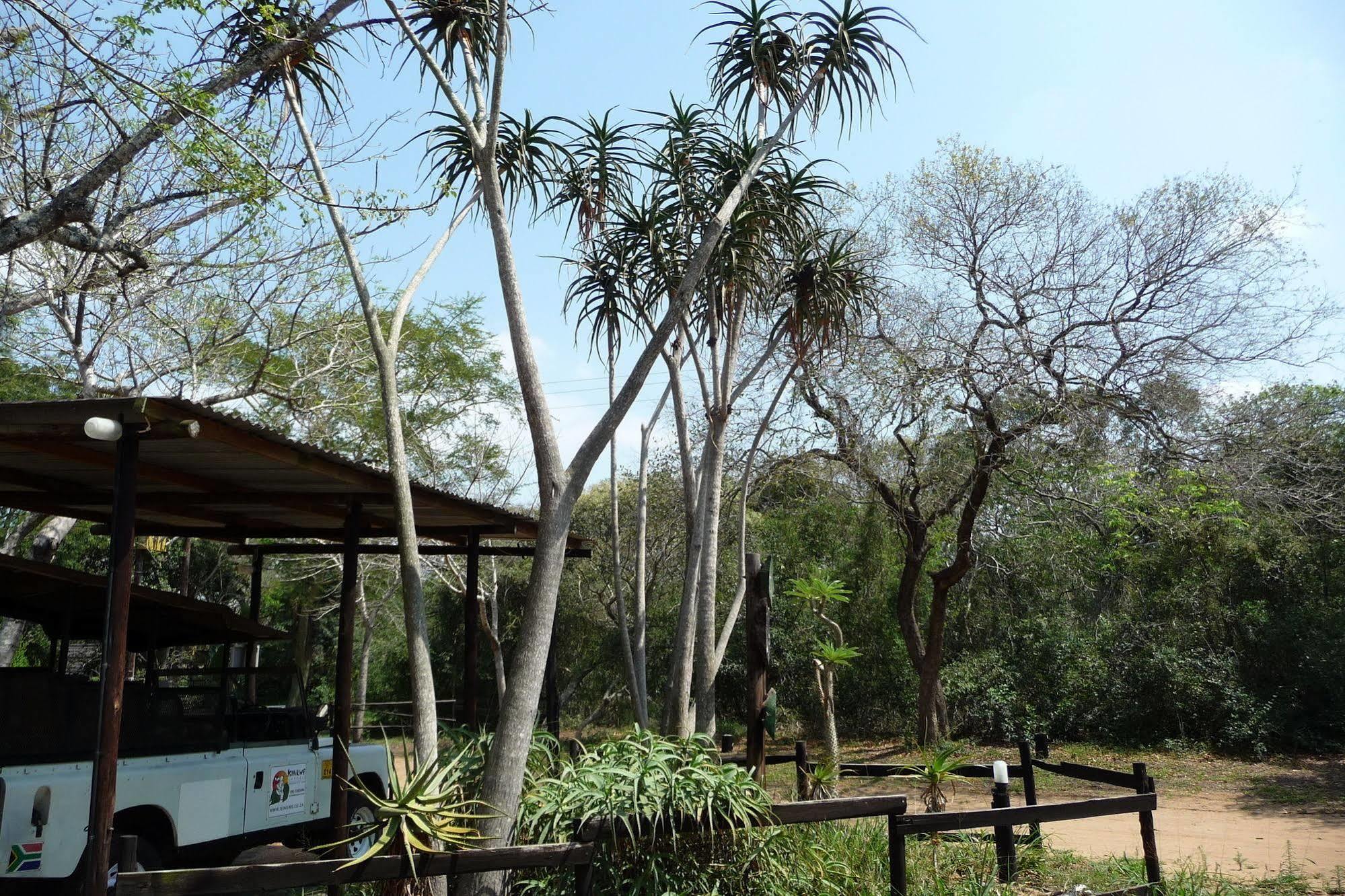 Hotel Isinkwe Backpackers Bushcamp Hluhluwe Esterno foto